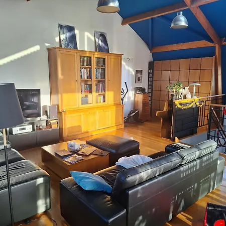 Charmant Duplex Avec Terrasse Ideal Pour Profiter Des Jo ! Appartement Suresnes
